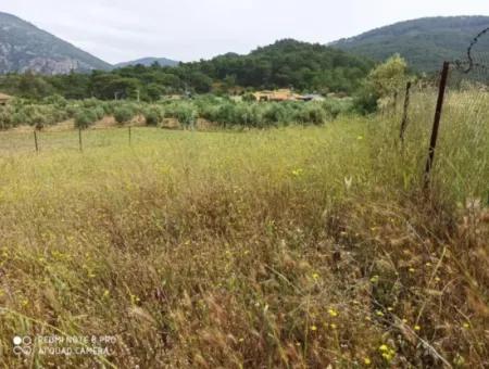 Grundstück Zum Verkauf In Dalyan Gökbel