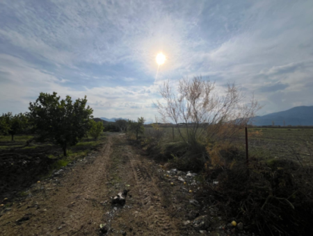 Field Land For Sale In Tepearası