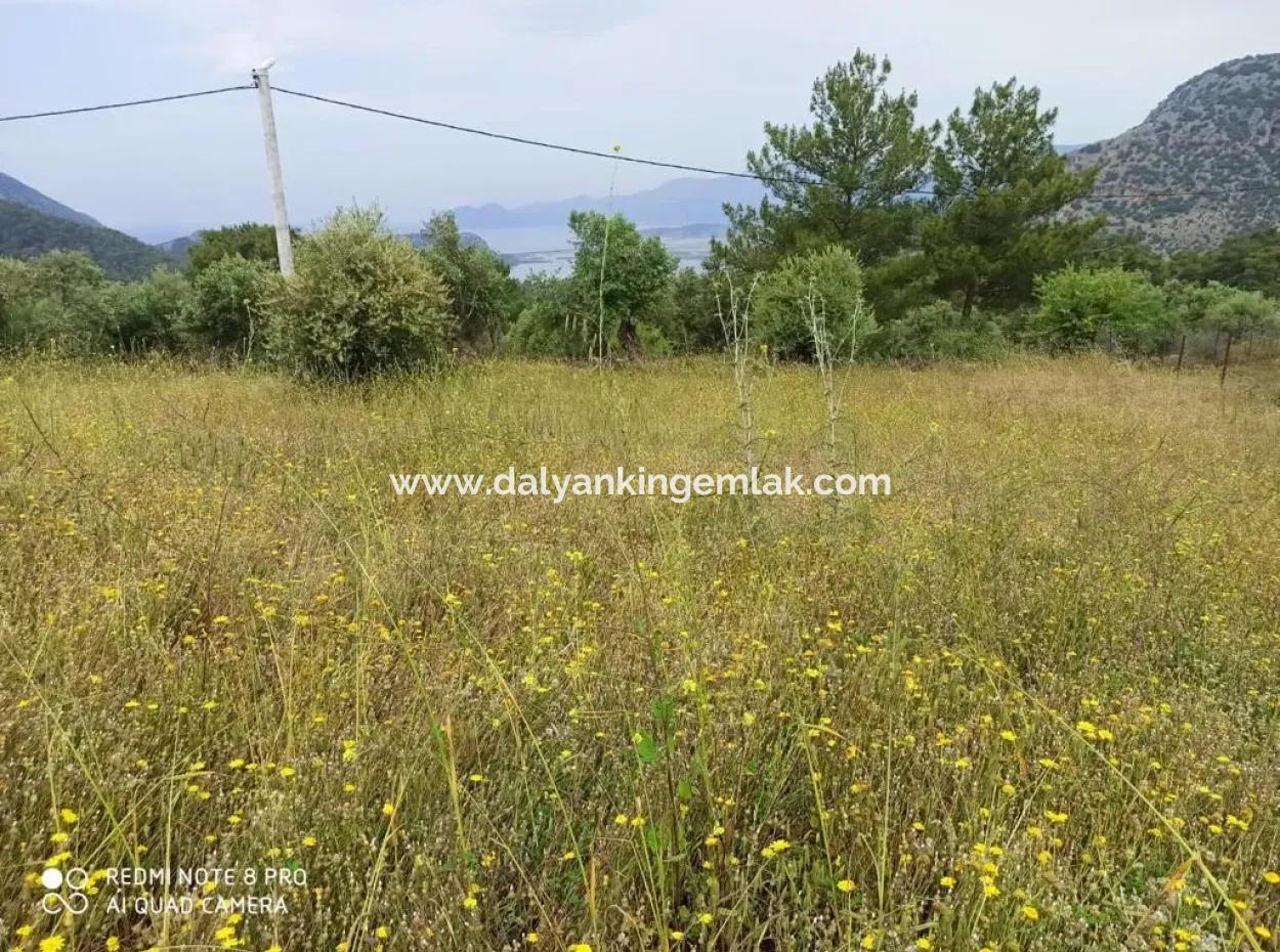 Land For Sale In Dalyan Gökbel