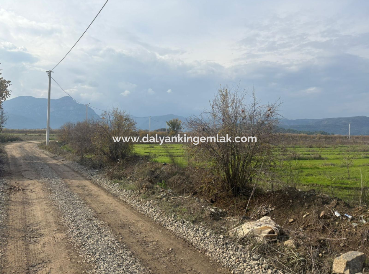 Field Land For Sale In Tepearası