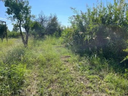 Field For Sale In Dalyan