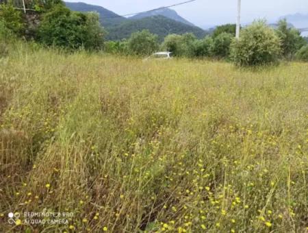 Land For Sale In Dalyan Gökbel