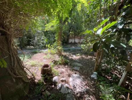 Woodland Home In Dalyan