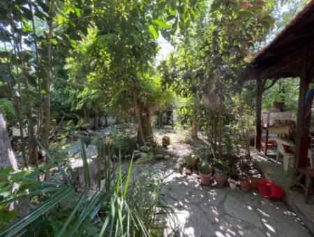 Woodland Home In Dalyan