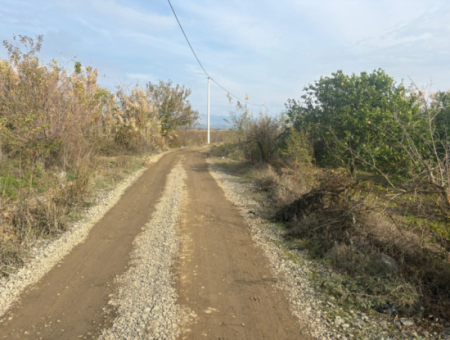 Field Land For Sale In Tepearası