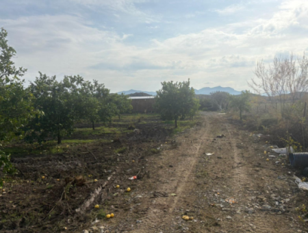 Field Land For Sale In Tepearası