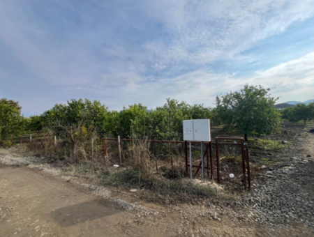 Field Land For Sale In Tepearası