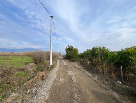 Field Land For Sale In Tepearası