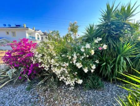 Sweet Little Bungalow Packed With Character