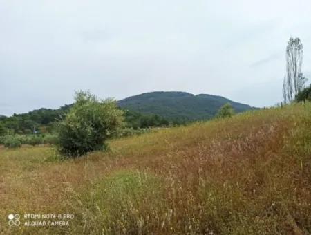 Dalyan Gökbelde Satılık Arsa